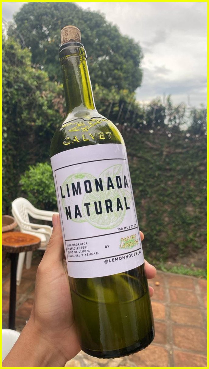 Botella de limonada natural del proyecto